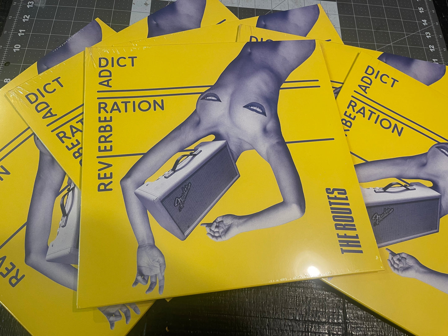 OMRDST-042 The Routes “Reverberation Addict” LP (Vinyl) *IMPORT*
