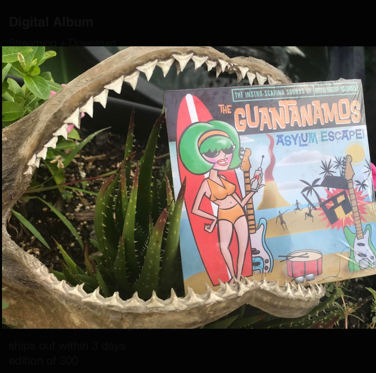OMR-032 THE GUANTANAMOS “Asylum Escape” CD/EP